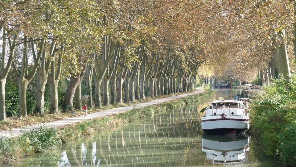 Les Gardenias Bed and Breakfast Toulouse Buitenkant foto